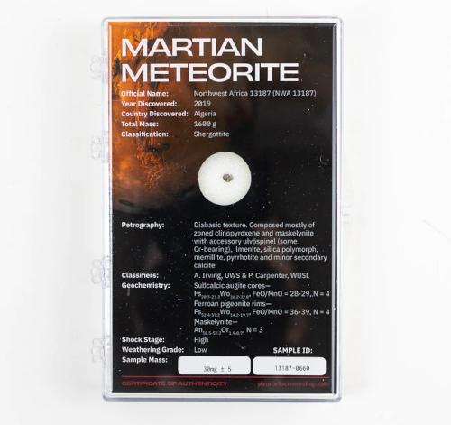 Martian Meteorite NWA 13187