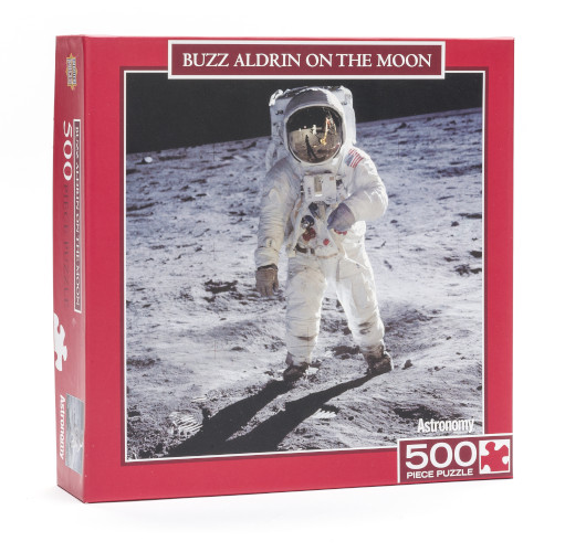 Buzz Aldrin on the Moon Puzzle