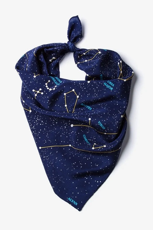 Connect the Dots Neck Scarf