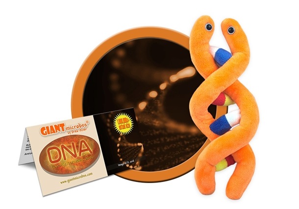 GIANTmicrobes - DNA