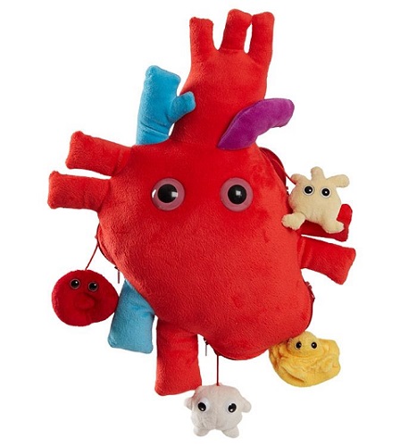 GIANTmicrobes - Deluxe Heart with Mini Cells
