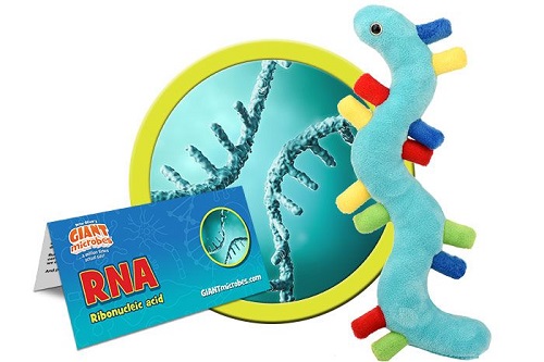 GIANTmicrobes - RNA