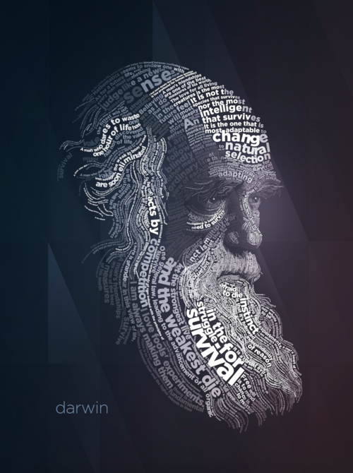 Darwin Typography Poster