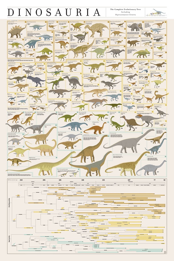 Dinosauria 24 X36 Poster From Pop Chart Lab