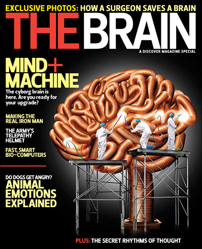 The Brain Spring 2012
