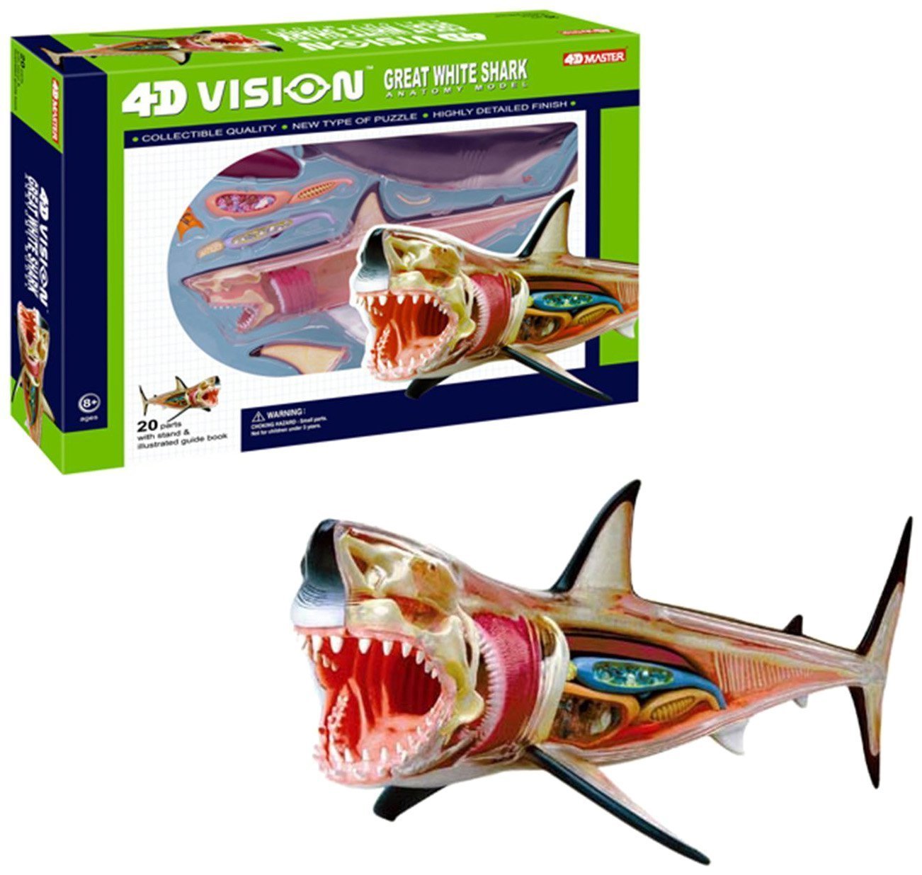 4d vision great white shark