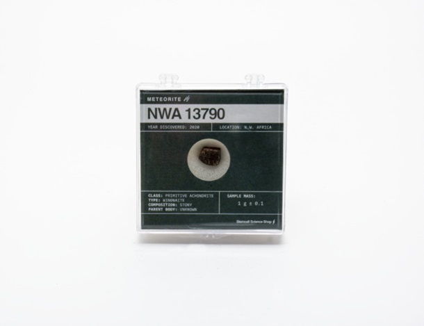 Meteorite NWA 13790 - 1g 