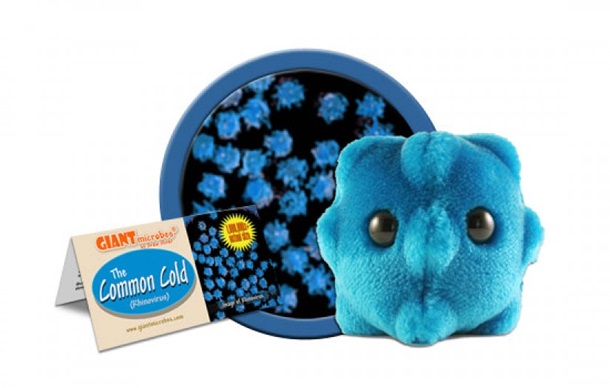 GIANTmicrobes - Common Cold