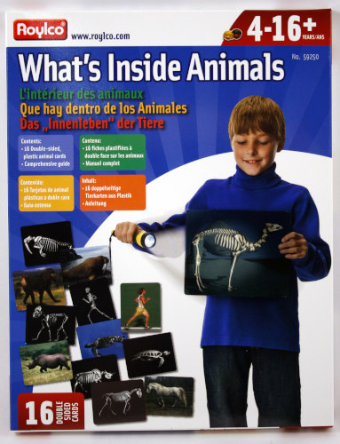 Roylco What's Inside Animals? 