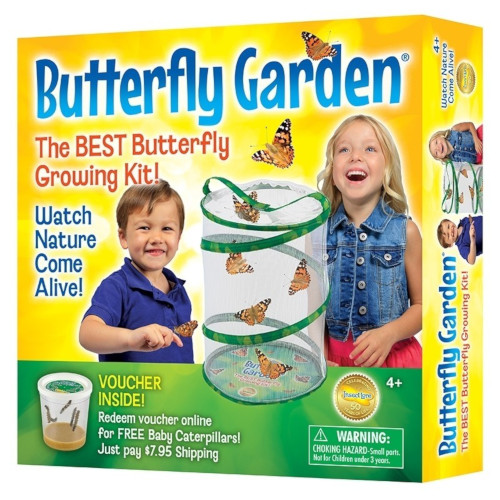 Butterfly Garden Kit 