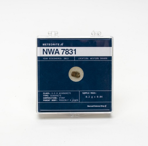 Meteorite NWA 7831 - .2g 