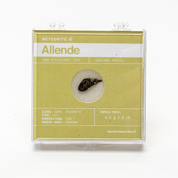 Allende Meteorite - .5g