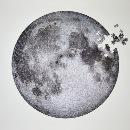 The Moon NASA Round Puzzle