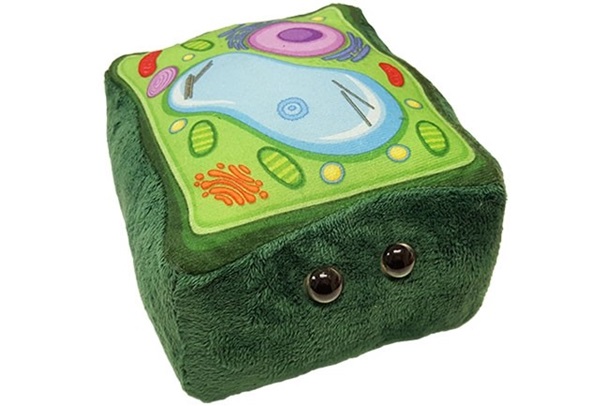 GIANTmicrobes - Plant Cell