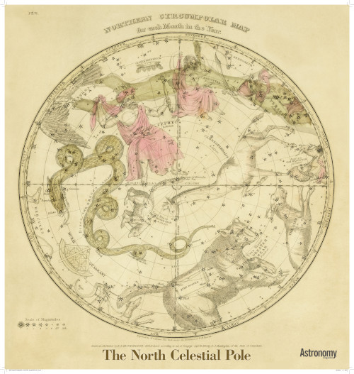 Antique Star Chart - The North Celestial Pole